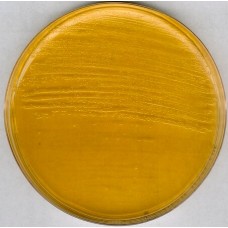 AGAR BHI ( BRAIN HEART INFUSION) GRANULADO MERCK - 500g AGAR BHI ( BRAIN HEART INFUSION) GRANULADO MERCK - 500g