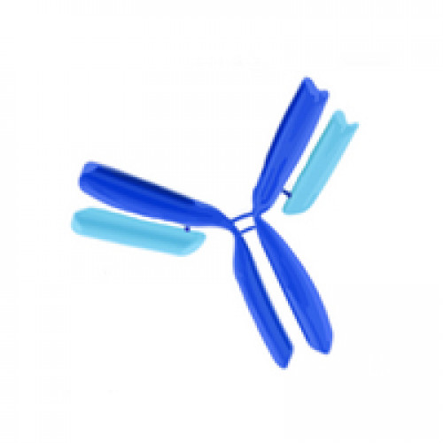 ACETIL-HISTONE H4 SET ANTIBODY MILLIPORE ACETIL-HISTONE H4 SET ANTIBODY MILLIPORE