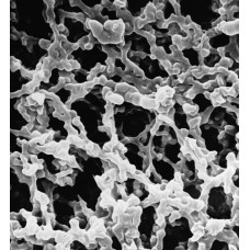 MEMBRANA FILTRANTE MISTURA ESTERES DA, DIAM. 47mm PORO 0,65um MILLIPORE (CX/100 UND)