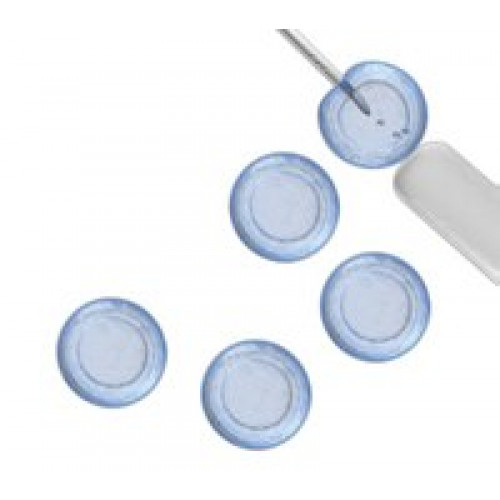 MEIO DE CULTURA EMBRIOMAX ES CEL QUALIF 2X MEIO DE CULT CONGELAM 20%DMSO E SFB -20C 100ML (UND) MILLIPORE MEIO DE CULTURA EMBRIOMAX ES CEL QUALIF 2X MEIO DE CULT CONGELAM 20%DMSO E SFB -20C 100ML (UND) MILLIPORE