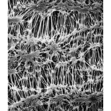 MEMB. FILTRAÇÃO PTFE FLUOROPORE FA DIAM. 47mm PORO 1,0um MILLIPORE (CX/100 UND) MEMB. FILTRAÇÃO PTFE FLUOROPORE FA DIAM. 47mm PORO 1,0um MILLIPORE (CX/100 UND)