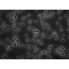 MEMBRANA FILTRAÇÃO POLICARBONATO ISOPORE GT DIAM. 47mm PORO 0,22um MILLIPORE (CX C/ 100)