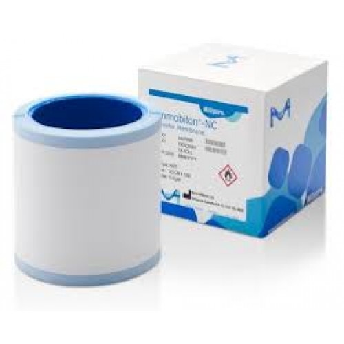 MEMBRANA MISTURA ESTER CELULOSE IMMOBILON 0,45um ROLO 33 X 300cm MILLIPORE MEMBRANA MISTURA ESTER CELULOSE IMMOBILON 0,45um ROLO 33 X 300cm MILLIPORE