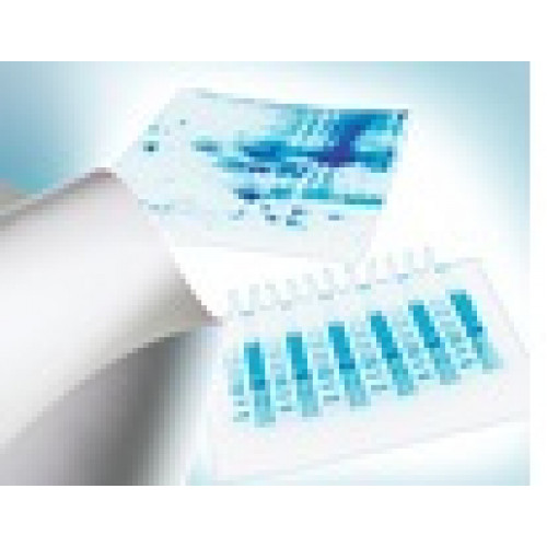 MEMBRANA PVDF IMMOBILON-P 0,45um 8 X 10cm (CX) MILLIPORE MEMBRANA PVDF IMMOBILON-P 0,45um 8 X 10cm (CX) MILLIPORE