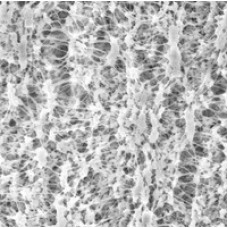 MEMBRANA FILTRAÇÃO PTFE OMNIPORE DIAM. 47mm PORO 0,22um HIDROFILICO (CX) MILLIPORE