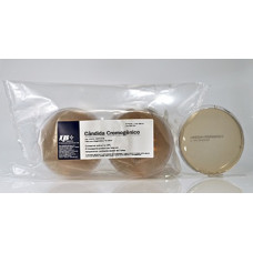 CANDIDA CROMOGENICO 20ML EM PLACA 90X15MM LABORCLIN (10 PLACAS) CANDIDA CROMOGENICO 20ML EM PLACA 90X15MM LABORCLIN (10 PLACAS)