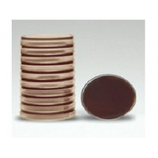 CHOCOLATE AGAR MEIO CULTURA EM PLACA 90x15MM LABORCLIN (10 PLACAS)