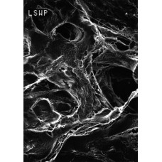 MEMBRANA FILT. PTFE MITEX LC DIAM. 47mm PORO 10um BRANCA LISA MILLIPORE (CX C/ 100 UND)