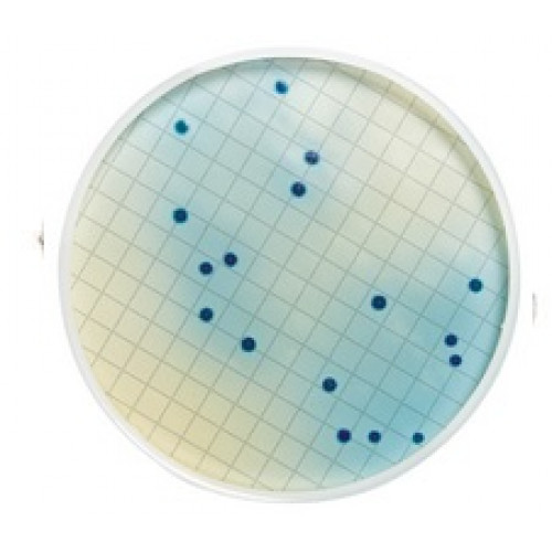 ACIDO ROSOLICO INDICADOR EMB C/ 25g MILLIPORE ACIDO ROSOLICO INDICADOR EMB C/ 25g MILLIPORE