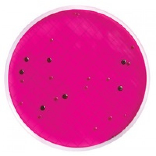 MEIO M ENDO EM AMPOLA 2ml PARA COLIFORMES TOTAIS (CX) MILLIPORE MEIO M ENDO EM AMPOLA 2ml PARA COLIFORMES TOTAIS (CX) MILLIPORE