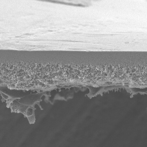 MEMBRANA BIOMAX 500 POLIETERSULFONA 500 kDa NMWL DIAM. 76mm MILLIPORE (10/CX) MEMBRANA BIOMAX 500 POLIETERSULFONA 500 kDa NMWL DIAM. 76mm MILLIPORE (10/CX)