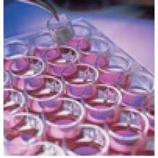 INSERTO MILLICEL CM C/MEMBRANA PTFE 0,4MICRA 30MM CORPO POLIESTIRENO (UND) MILLIPORE INSERTO MILLICEL CM C/MEMBRANA PTFE 0,4MICRA 30MM CORPO POLIESTIRENO (UND) MILLIPORE