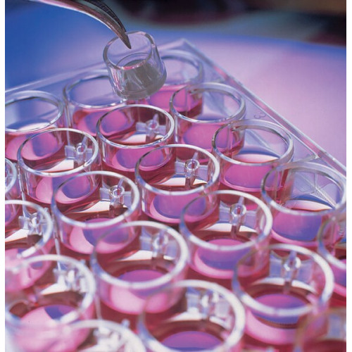 PLACA DE CULTURA MILLICELL DIAM. DE 30MM C/ MEMB. HATF-MCE PORO 0,45 UM MILLIPORE (CX C/ 50) PLACA DE CULTURA MILLICELL DIAM. DE 30MM C/ MEMB. HATF-MCE PORO 0,45 UM MILLIPORE (CX C/ 50)