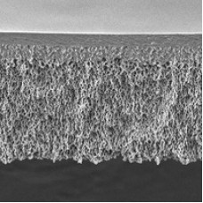 FILTRO MEMBRANA DE ULTRAFILTRACAO EM CELULOSE REGENERADA 3000 DALTONS 25MM (CX) MILLIPORE FILTRO MEMBRANA DE ULTRAFILTRACAO EM CELULOSE REGENERADA 3000 DALTONS 25MM (CX) MILLIPORE