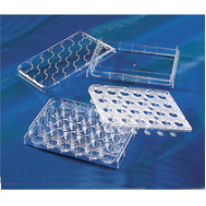 PLACA TRANSWELL-24 HTS 6.5mm, 0.4um, ESTÉRIL, IND, (EMB COM 2 PLACAS HTS 2 RESERV 2 PLACAS WRAPPED) CORNING PLACA TRANSWELL-24 HTS 6.5mm, 0.4um, ESTÉRIL, IND, (EMB COM 2 PLACAS HTS 2 RESERV 2 PLACAS WRAPPED) CORNING