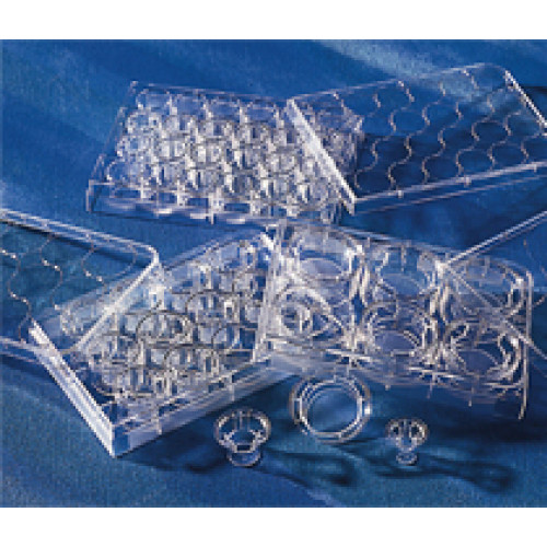 PLACA TRANSWELL CLR 24mm, 0.4um, TCT, PET, S, (EMB COM 24 INSERTOS) CORNING PLACA TRANSWELL CLR 24mm, 0.4um, TCT, PET, S, (EMB COM 24 INSERTOS) CORNING