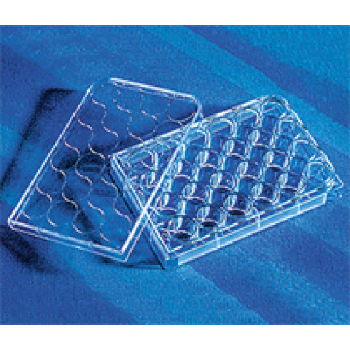 PLACA 24 POÇOS FUNDO PLANO PARA CULTURA COM TAMPA EST ULA (EMB C/ 24 UND) CORNING PLACA 24 POÇOS FUNDO PLANO PARA CULTURA COM TAMPA EST ULA (EMB C/ 24 UND) CORNING