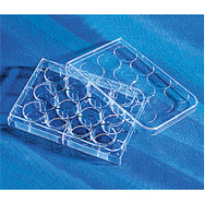 PLACA 12 POÇOS FUNDO PLANO PARA CULTURA COM TAMPA ESTERIL INDIVIDUAL (EMB C/ 50 UND) CORNING PLACA 12 POÇOS FUNDO PLANO PARA CULTURA COM TAMPA ESTERIL INDIVIDUAL (EMB C/ 50 UND) CORNING