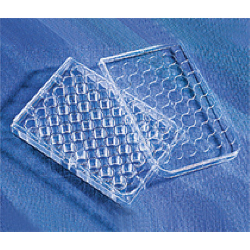 PLACA 48 POÇOS FUNDO PLANO PARA CULTURA COM TAMPA ESTERILIZADA POR RAIO GAMA (EMB C/ 100 UND) CORNING PLACA 48 POÇOS FUNDO PLANO PARA CULTURA COM TAMPA ESTERILIZADA POR RAIO GAMA (EMB C/ 100 UND) CORNING