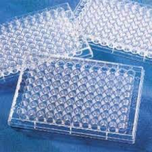 PLACA 96 POÇOS S/ TAMPA FUNDO PLANO EM PS EIA/RIA HIGH BIND CORNING (EMB/100 UND) PLACA 96 POÇOS S/ TAMPA FUNDO PLANO EM PS EIA/RIA HIGH BIND CORNING (EMB/100 UND)