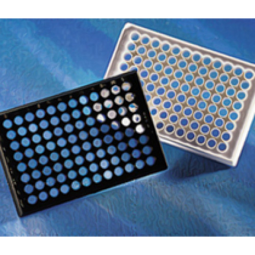 PLACA 96 POÇOS FUNDO PLANO BRANCO PARA CULTURA CÉLULAS COM TAMPA STANDARD PLATE, TC-TREATED, ESTÉRIL (EMB C/ 48 UND) CORNING PLACA 96 POÇOS FUNDO PLANO BRANCO PARA CULTURA CÉLULAS COM TAMPA STANDARD PLATE, TC-TREATED, ESTÉRIL (EMB C/ 48 UND) CORNING