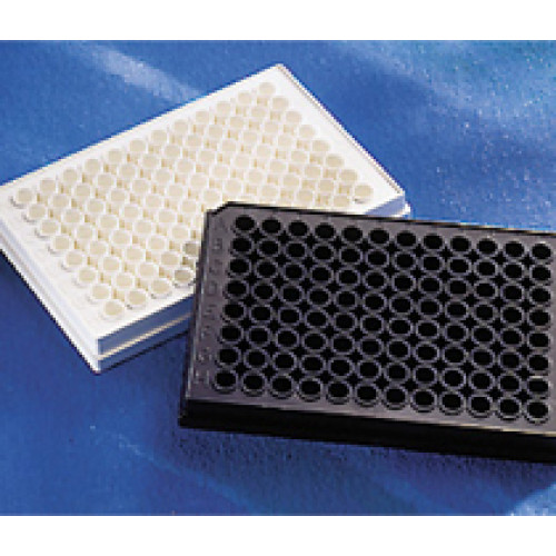 PLACA 96 POÇOS FUNDO PLANO BRANCA SEM TRATAMENTO NÃO ESTÉRIL MEDIA ADERENCIA (EMB) CORNING PLACA 96 POÇOS FUNDO PLANO BRANCA SEM TRATAMENTO NÃO ESTÉRIL MEDIA ADERENCIA (EMB) CORNING