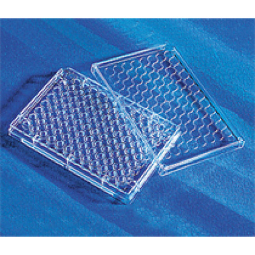 PLACA 96 POÇOS FUNDO PLANO EM PS ESTÉRIL PARA CULTURA CÉLULAS SUPERFÍCIE TRATADA, COM TAMPA (EMB C/ 50 UND) CORNING PLACA 96 POÇOS FUNDO PLANO EM PS ESTÉRIL PARA CULTURA CÉLULAS SUPERFÍCIE TRATADA, COM TAMPA (EMB C/ 50 UND) CORNING