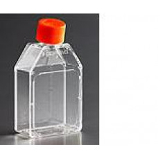 FRASCO PARA CULTURA DE CÉLULAS 25cm2 RETANGULAR CANTED TAMPA PLUG SEAL ESTÉRIL (CERTIFICADO APIROGENICO) EMB C/ 500 UND - CORNING FRASCO PARA CULTURA DE CÉLULAS 25cm2 RETANGULAR CANTED TAMPA PLUG SEAL ESTÉRIL (CERTIFICADO APIROGENICO) EMB C/ 500 UND - CORNING