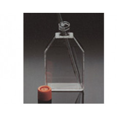 FRASCO PARA CULTURA DE CÉLULAS 25cm2 RETANGULAR CANTED TAMPA PHENOLIC ALIC ESTÉRIL (CERTIFICADO APIROGENICO) EMB C/ 500 UND - CORNING FRASCO PARA CULTURA DE CÉLULAS 25cm2 RETANGULAR CANTED TAMPA PHENOLIC ALIC ESTÉRIL (CERTIFICADO APIROGENICO) EMB C/ 500 UND - CORNING