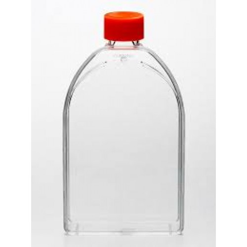 FRASCO PARA CULTURA DE CÉLULAS 150cm2 RETANGULAR T.CANTED PLUG SEAL ESTÉRIL (CERTIFICADO APIROGENICO) EMB C/ 50 UND - CORNING FRASCO PARA CULTURA DE CÉLULAS 150cm2 RETANGULAR T.CANTED PLUG SEAL ESTÉRIL (CERTIFICADO APIROGENICO) EMB C/ 50 UND - CORNING