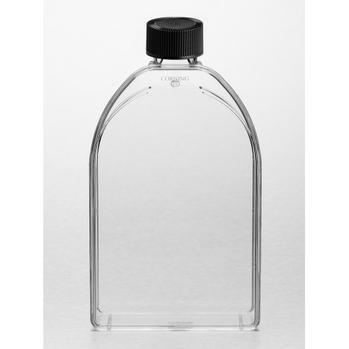 FRASCO RET. P/ CULTURA DE CÉLULAS ESTÉRIL 150cm² TAMPA PHENOLIC CORNING (EMB/50 UND) FRASCO RET. P/ CULTURA DE CÉLULAS ESTÉRIL 150cm² TAMPA PHENOLIC CORNING (EMB/50 UND)