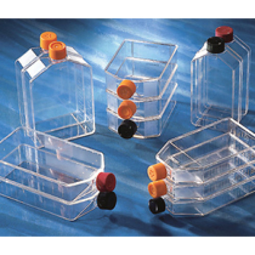 FRASCO PARA CULTURA DE CÉLULAS 150cm2 RETANGULAR T.CANTED VENT CAP ESTÉRIL (CERTIFICADO APIROGENICO) EMB C/ 50 UND - CORNING FRASCO PARA CULTURA DE CÉLULAS 150cm2 RETANGULAR T.CANTED VENT CAP ESTÉRIL (CERTIFICADO APIROGENICO) EMB C/ 50 UND - CORNING