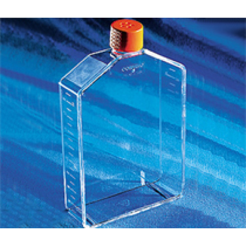 FRASCO PARA CULTURA DE CÉLULAS 225cm2 TRADIT. T. CANTED VENT CAP (CERTIFICADO APIROGENICO) ESTERIL (EMB C/ 25 UND) CORNING FRASCO PARA CULTURA DE CÉLULAS 225cm2 TRADIT. T. CANTED VENT CAP (CERTIFICADO APIROGENICO) ESTERIL (EMB C/ 25 UND) CORNING