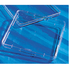 PLACA PARA CULTURA CELULAR NAO TRATADA QUAD 245x245mm (CERT. APIROGENICO ESTERIL COM TAMPA) EMB C/ 16 UND CORNING PLACA PARA CULTURA CELULAR NAO TRATADA QUAD 245x245mm (CERT. APIROGENICO ESTERIL COM TAMPA) EMB C/ 16 UND CORNING