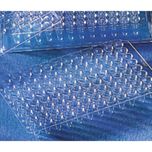 PLACA 96 POÇOS PARA PCR POLICARBONATO MODELO P SEM TAMPA NÃO ESTÉRIL VOLUME WELL 200ul (EMB) CORNING PLACA 96 POÇOS PARA PCR POLICARBONATO MODELO P SEM TAMPA NÃO ESTÉRIL VOLUME WELL 200ul (EMB) CORNING