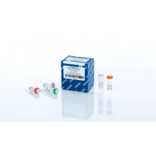 QUANTINOVA REVERSE TRANSCRIPTION KIT (200 REAÇÕES DE 20 µL  )  QIAGEN