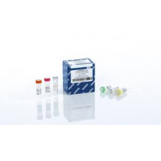 QUANTINOVA PROBE RT-PCR KIT (500)     QIAGEN