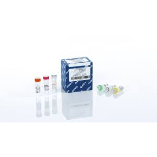 QUANTINOVA PROBE RT-PCR KIT (500) QIAGEN QUANTINOVA PROBE RT-PCR KIT (500) QIAGEN