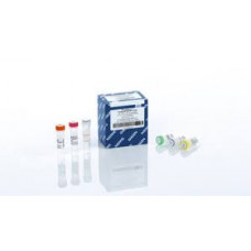 QUANTINOVA PROBE RT-PCR KIT (REND. 2500 EXTRAÇÕES)  QIAGEN