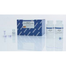 KIT PURIFICAÇÃO QIAQUICK PCR PURIFICATION KIT (REND. 250 PURIFICAÇÕES) QIAGEN