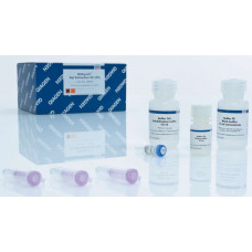 KIT PURIFICAÇÃO QIAQUICK GEL EXTRACTION KIT (RENDIMENTO: 50 PURIFICAÇÕES) QIAGEN