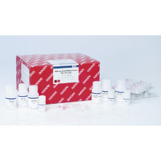 KIT ALL PREP BAC DNA/RNA/PROT     QIAGEN