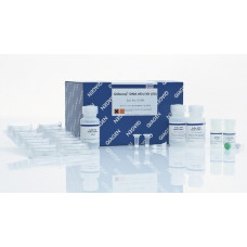 KIT EXTRAÇÃO QIAAMP DNA MINI KIT QIAGEN (RENDIMENTO: 50 REAÇÕES)