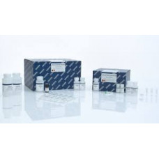 KIT EXTRAÇÃO QIAAMP DNA MINI KIT     QIAGEN