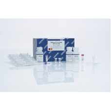 KIT EXTRAÇÃO QIAAMP VIRAL RNA MINI KIT (REND. 50 EXTRAÇÕES) QIAGEN