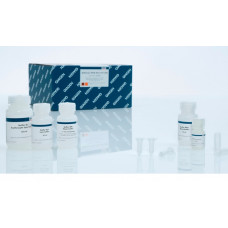 QIAAMP DNA MICRO KIT (RENDIMENTO: 50 EXTRAÇÕES)   QIAGEN