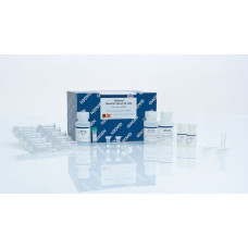 QIAAMP DNA FFPE TISSUE KIT (50)   QIAGEN