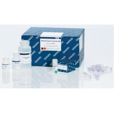 KIT EXTRAÇÃO DNEASY PLANT MINI KIT      QIAGEN