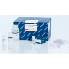 KIT EXTRAÇÃO DNEASY MERICON FOOD     QIAGEN