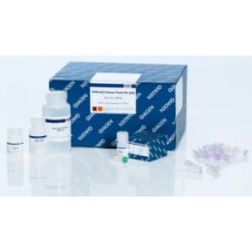 KIT EXTRAÇÃO DNEASY MERICON FOOD QIAGEN KIT EXTRAÇÃO DNEASY MERICON FOOD QIAGEN
